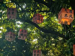 -绍兴大禹开元观堂-若耶厅