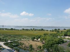 -莲花岛景区