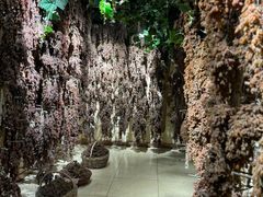 -新疆国际大巴扎