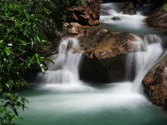 -广州白江湖森林公园