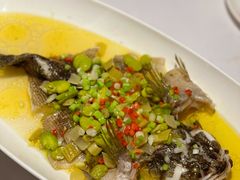 -南麓·浙里(外滩店)