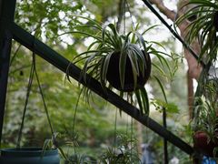 -一江春水·杭帮臻宴(三台山店)