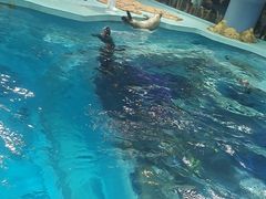 -哈尔滨极地公园
