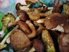 -佳缘野生菌食府