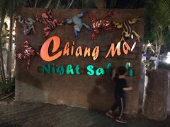 -清迈夜间动物园