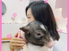 -猪盟咖啡店(玖洲道店)
