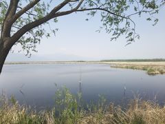 -野鸭湖国家湿地公园