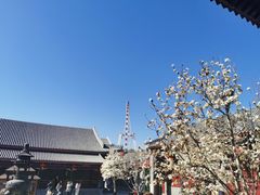 -天津大悲禅院