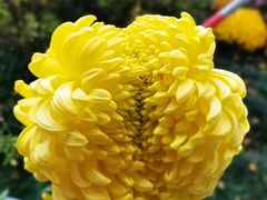 -杭州植物园