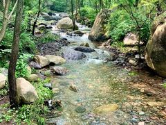 -云岫谷游猎自然风景区