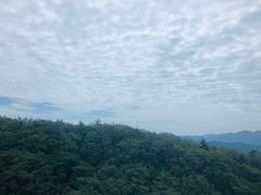 -牛背梁国家森林公园