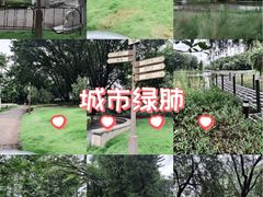 -映月湖公园