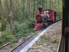 -合肥滨湖国家森林公园