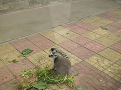 -石家庄市动物园