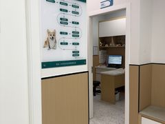 -瑞派康怡24h宠物医院·犬猫医疗中心·微创绝育(瑞景分院)