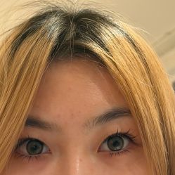 -七岛美学