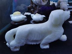 -贝壳梦幻世界