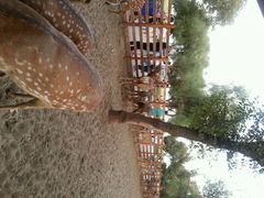 android_upload_pic-赛汗塔拉风情园