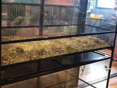 -藦茜花园宠物主题亲子互动体验馆(国顺东路店)