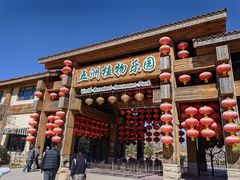 -南宫五洲植物乐园