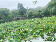 -无锡蠡湖国家湿地公园-蠡园