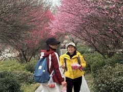 -南京市无想山景区