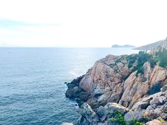 -广东惠东海龟国家级自然保护区