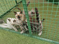 -萌宠亲子动物乐园(槐房万达店)