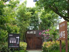 -怡情荟•海鲜青岛菜(五四广场旗舰店)