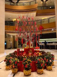 -上海浦东喜来登由由大酒店·宴会厅