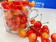 -樱桃山旅游景区