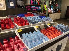 -猫咪博物馆(顶澳仔猫街店)