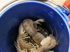 -澜悦港海鲜体验主题餐厅