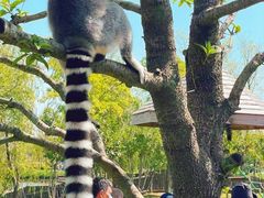 -南京金牛湖风景区