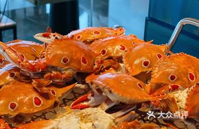 Premium Seafood