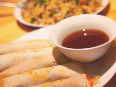 春卷-嘉州叶婆婆钵钵鸡(建设路店)