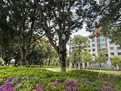 -厦门大学(思明校区)