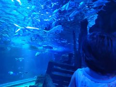 -江和美海洋公园