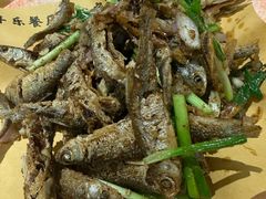 -丰乐餐厅·始于1999·本地老字号