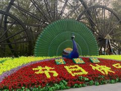 -呀路古热带植物园
