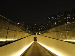 -南京眼步行桥