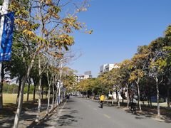 -上海海事大学(临港校区)