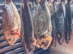 -南风(淮海街店)