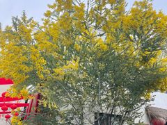 -三圣花乡旅游区