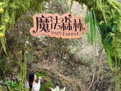 -龙湾潭国家森林公园