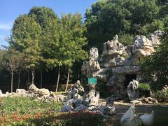 -上海鲜花港