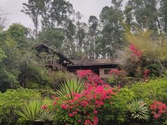 -深圳国际园林花卉博览园