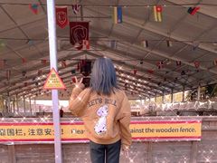 -太阳岛度假酒店