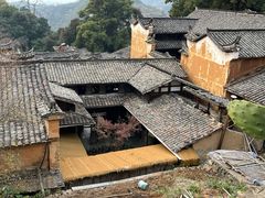 -杨家堂村