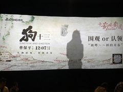 -AMG海上明珠影城(上海环球港RealDCinema店)